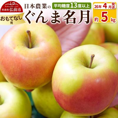 ふるさと納税 弘前市 りんご[26年4月出荷]ぐんま名月 約5kg おもてなし用 CA貯蔵|24_nng-090501bk