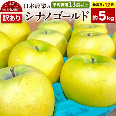 ふるさと納税 弘前市 [26年12月発送]りんご シナノゴールド[訳あり]約5kg|24_nng-100501ag