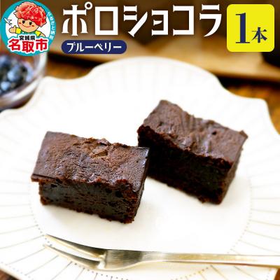 ふるさと納税 名取市 ポロショコラ ブルーベリー 160g×1本 ラグノオささき|21_rgs-020101