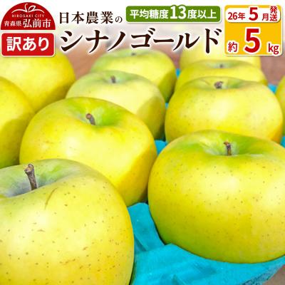 ふるさと納税 弘前市 りんご[26年5月出荷] シナノゴールド 約5kg 訳あり CA貯蔵|24_nng-100501al
