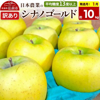 ふるさと納税 弘前市 [27年1月発送]りんご シナノゴールド[訳あり]約10kg|24_nng-101001ah