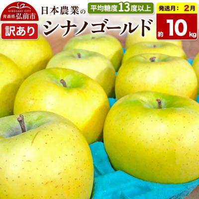 ふるさと納税 弘前市 [27年2月発送]りんご シナノゴールド[訳あり]約10kg|24_nng-101001ai