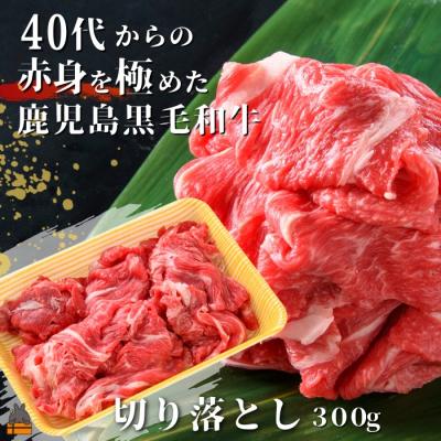 ふるさと納税 徳之島町 40代からの赤身を極めた鹿児島黒毛和牛切り落とし300g