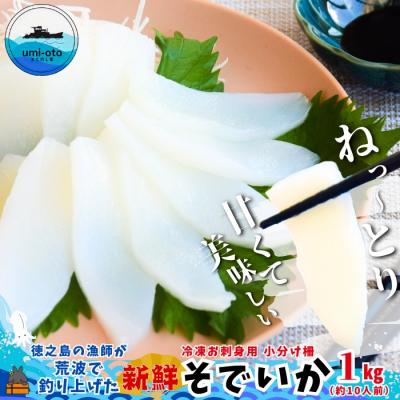 ふるさと納税 徳之島町 徳之島の漁師が荒波で釣り上げたそでいか 冷凍お刺身用小分け柵 1kg