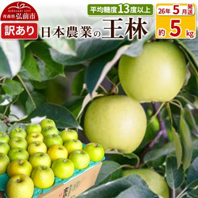 ふるさと納税 弘前市 りんご [26年5月出荷] 王林 約5kg 訳あり CA貯蔵|24_nng-110501al