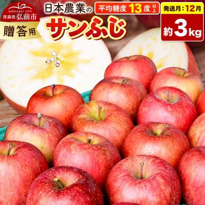ふるさと納税 弘前市 りんご[26年12月発送]サンふじ[贈答用]約3kg|24_nng-120301cg