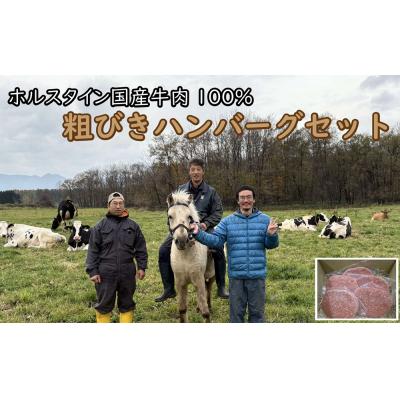 ふるさと納税 新得町 粗びきハンバーグ5個セット