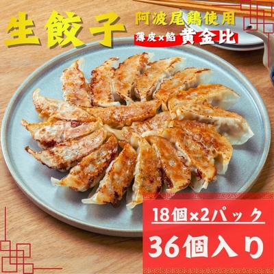 ふるさと納税 美波町 阿波尾鶏薄皮生餃子36個入(18個入×2P)1セット