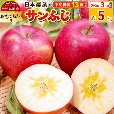 ふるさと納税 弘前市 りんご [26年3月出荷] サンふじ 約5kg おもてなし用|24_nng-120501bj