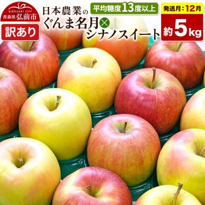 ふるさと納税 弘前市 りんご ぐんま名月×シナノスイート[訳あり]約5kg|24_nng-510501ag