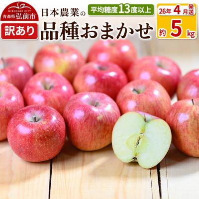 ふるさと納税 弘前市 りんご [26年4月出荷] 品種おまかせ 約5kg 訳あり CA貯蔵|24_nng-990501ak
