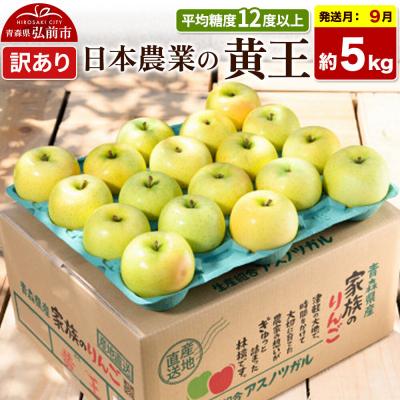 ふるさと納税 弘前市 [26年9月クール便発送]りんご 黄王 約5kg[訳あり]|24_nng-030501ad
