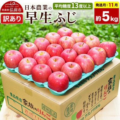 ふるさと納税 弘前市 [26年11月発送]りんご 早生ふじ[訳あり]約5kg|24_nng-040501af