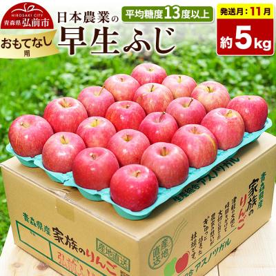 ふるさと納税 弘前市 [26年11月発送]りんご 早生ふじ[おもてなし用]約5kg|24_nng-040501bf