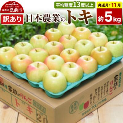 ふるさと納税 弘前市 [26年11月発送]りんご トキ[訳あり]約5kg|24_nng-060501af