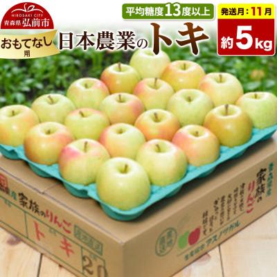 ふるさと納税 弘前市 [26年11月発送]りんご トキ[おもてなし用]約5kg|24_nng-060501bf