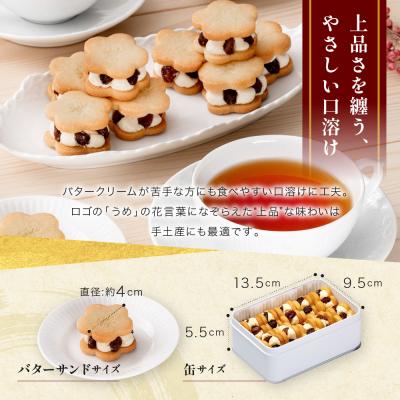ふるさと納税 京都市 【三木鶏卵】レーズンバターサンド 10個入り|錦市場 有名店 スイーツ バターサンド 人気セット_3