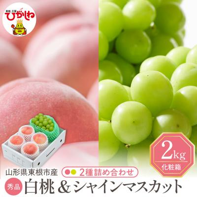 ふるさと納税 東根市 [2026年]白桃(品種おまかせ)&amp;シャインマスカット 詰め合わせ 2kg hi027-243