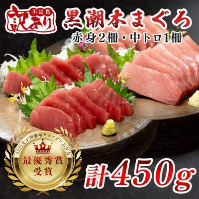 ふるさと納税 大月町 [訳アリ] 養殖本マグロ 赤身・中トロ 450g 黒潮本まぐろ 不定貫 刺身用 小分け 海鮮 産地直
