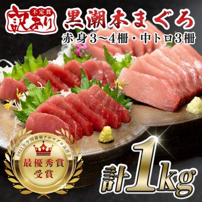 ふるさと納税 大月町 [訳アリ] 養殖本マグロ 赤身・中トロ 1kg 黒潮本まぐろ 不定貫 刺身用 小分け 海鮮 産地直送