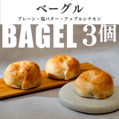 ふるさと納税 大月町 自家製ベーグル プレーン 塩バター アップルシナモン おすすめ3種セット 国産小麦 朝食 手作り