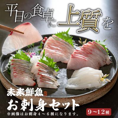ふるさと納税 大月町 旬のお刺身用 柵セット 9〜12種 高知 海鮮 盛り合わせ 食べ比べ 鮮度抜群 刺し身 グルメ 酒の