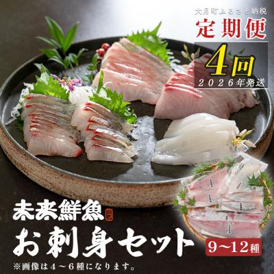 ふるさと納税 大月町 [定期便4回]旬のお刺身用柵セット 9〜12種 高知 盛り合わせ 厳選 ギフト 御中元 海の幸 寿司
