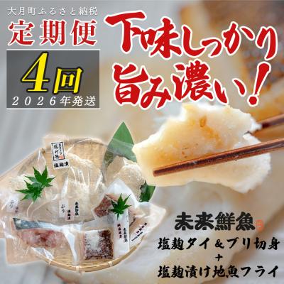 ふるさと納税 大月町 [定期便4回]塩麹に漬け込んだタイ&amp;ブリ&amp;地魚フライ 鯛 たい 鰤 ブリ 白身魚 揚げ物 おかず