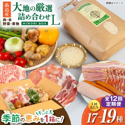 ふるさと納税 糸島市 全12回定期便 糸島産 肉 米 野菜 果物 厳選