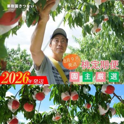 ふるさと納税 福島市 もも 品種お任せ定期便 全2回[2026年8月から9月発送]No.3235