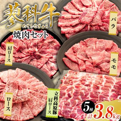 ふるさと納税 立科町 蓼科牛・立科高原豚焼肉セット(牛ロース・牛モモ・牛バラ・牛肩ロース・豚肩ロース)