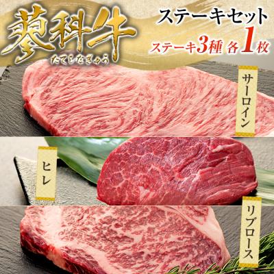 ふるさと納税 立科町 蓼科牛ステーキセット1(リブロース250g×1、サーロイン200g×1、ヒレ120g×1)
