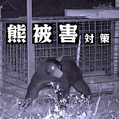 ふるさと納税 庄内町 [返礼品なし]熊被害対策支援(山形県庄内町)