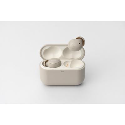 ふるさと納税 川崎市 極小ワイヤレスイヤホン final ZE500 for ASMR [CREAM]