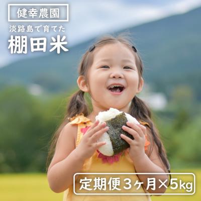 ふるさと納税 淡路市 [定期便]健幸農園の棚田米 5kg×3ヵ月セット