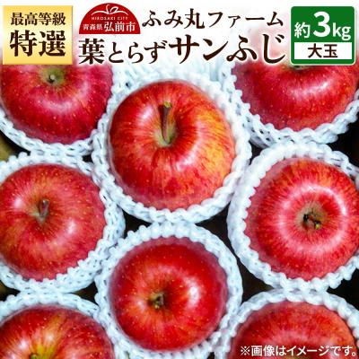 ふるさと納税 弘前市 りんご 「特選」大玉 葉とらず サンふじ 約3kg 糖度14度以上|24_fmf-050301