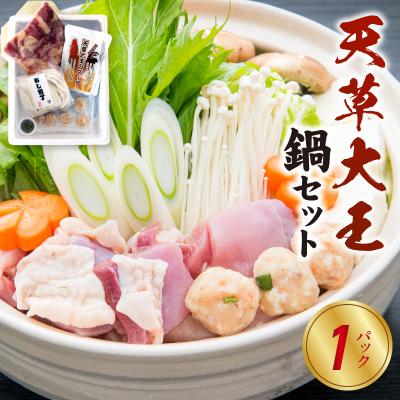 ふるさと納税 天草市 天草大王鍋セット(天草大王鶏肉・天草大王濃縮スープ・天草大王つみれ等)