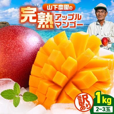 ふるさと納税 和泊町 [2026年先行受付][訳あり]甘い香りの贈り物!山下農園の完熟アップルマンゴー 1kg(2〜3玉)