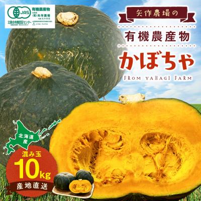 ふるさと納税 津別町 [先行受付]R8年産 有機栽培かぼちゃ 10kg | 北海道津別町