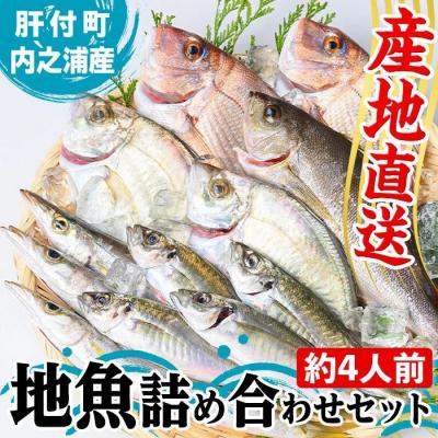 ふるさと納税 肝付町 地魚詰め合わせセット(約4人分) [マルケイ水産]
