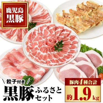 ふるさと納税 肝付町 黒豚ふるさとセット(合計約2.3kg)黒豚餃子(12個入)付き