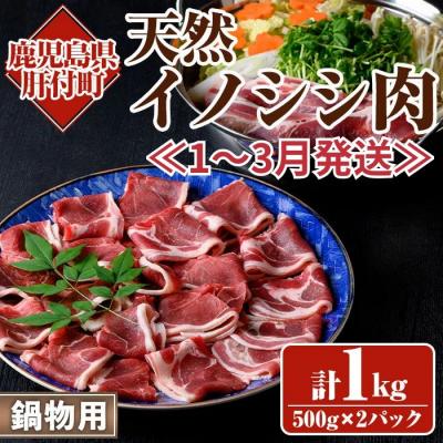 ふるさと納税 肝付町 ≪先行受付≫1月〜3月発送分 天然イノシシ肉(スライス・冷凍)約500g×2パック