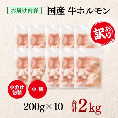 ふるさと納税 西都市 訳あり国産牛ホルモン2kg(小腸)牛もつ小分け200g×10　もつ鍋焼肉に[3047] |  | 01