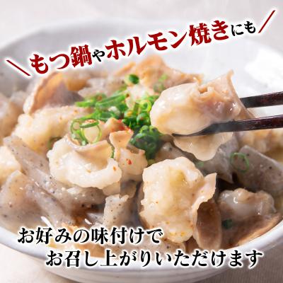 ふるさと納税 西都市 訳あり国産牛ホルモン2kg(小腸)牛もつ小分け200g×10　もつ鍋焼肉に[3047] |  | 02
