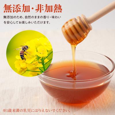 ふるさと納税 宮田村 日本ミツバチのはちみつ 200g×2本の画像