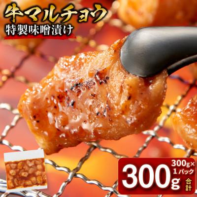 ふるさと納税 川崎市 <訳アリ>牛マルチョウ 特製味噌漬け 0.3kg(300g×1)[12月発送]