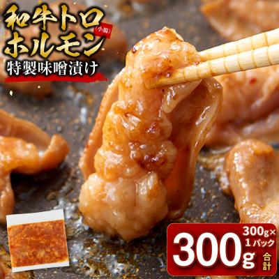 ふるさと納税 川崎市 <訳アリ>和牛トロホルモン 特製味噌漬け 0.3kg(300g×1)[12月発送]