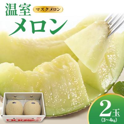 ふるさと納税 米沢市 [先行受付]令和8年産 温室メロン マスクメロン 2玉(3〜4kg程度)