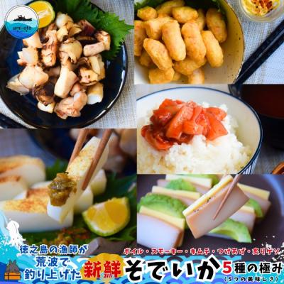 ふるさと納税 徳之島町 徳之島の漁師が荒波で釣り上げたそでいか 5種の極み ボイル・スモーキー・いかキムチ・つけあげ ・げそ