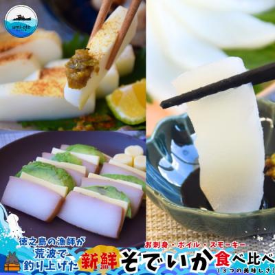 ふるさと納税 徳之島町 徳之島の漁師が荒波で釣り上げたそでいか 食べ比べ お刺身・ボイル・スモーキー